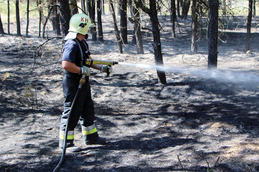 Égett az erdő aljnövényzete Kiskunmajsánál
