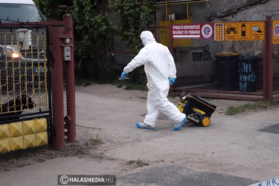 Letartóztatták a keresztapja megölésével gyanúsítható fiatalt