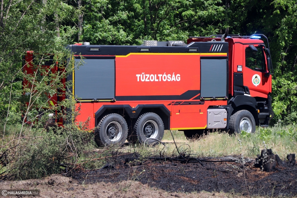Két hektáron égett az erdő aljnövényezete Pirtónál