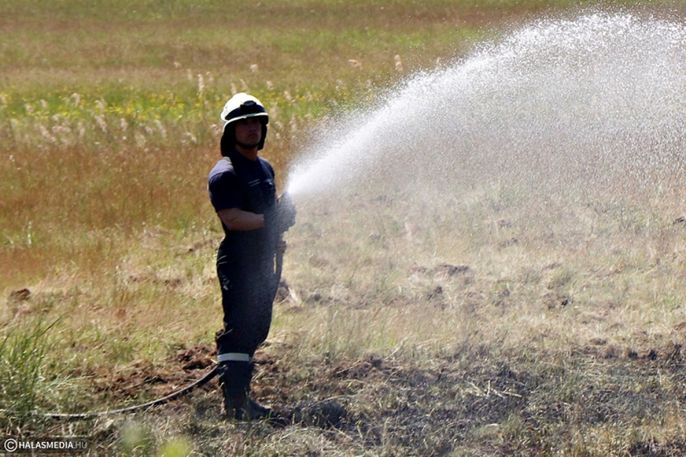 Avartűz volt Füzespusztán (galéria)