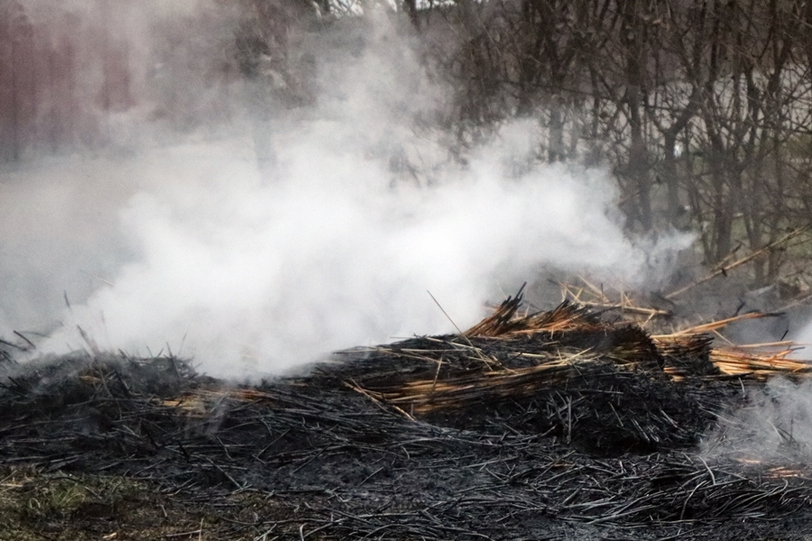 Jövő évtől tilos az avar és a kerti hulladék égetése