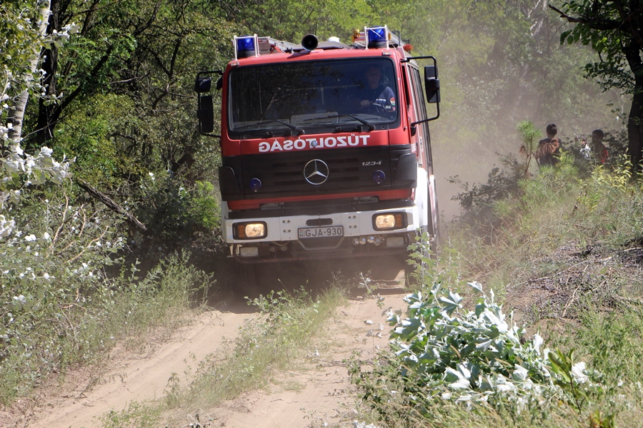Kigyulladt a nyárfaerdő aljnövényzete