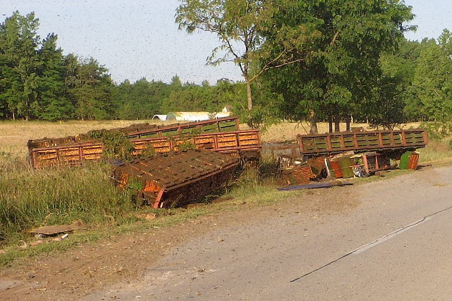Árokba borult pótkocsi: elszabadultak a méhek a zsanai úton