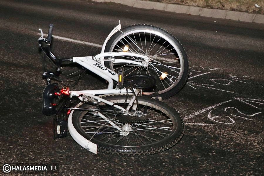 Vádemelés: Lulu gázolója ittasan vezetett és jogosítványa sem volt