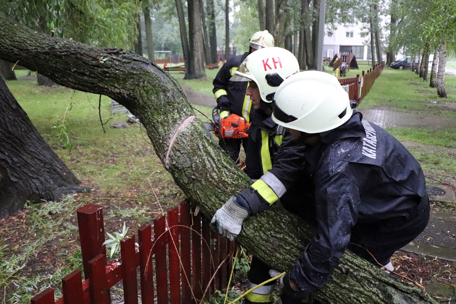 Nagyméretű faág zuhant a játszótér kerítésére
