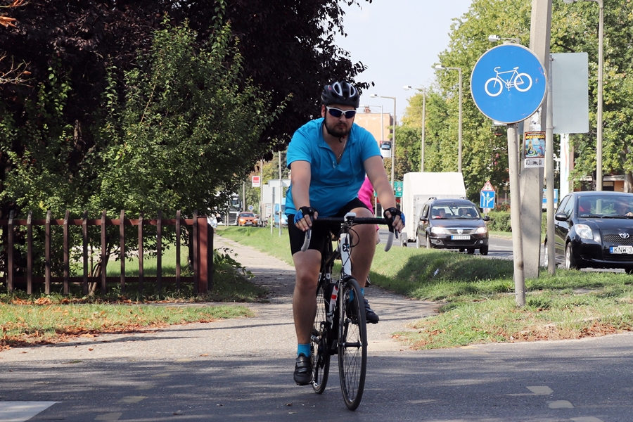 Kész tervek a halasi kerékpárutakra