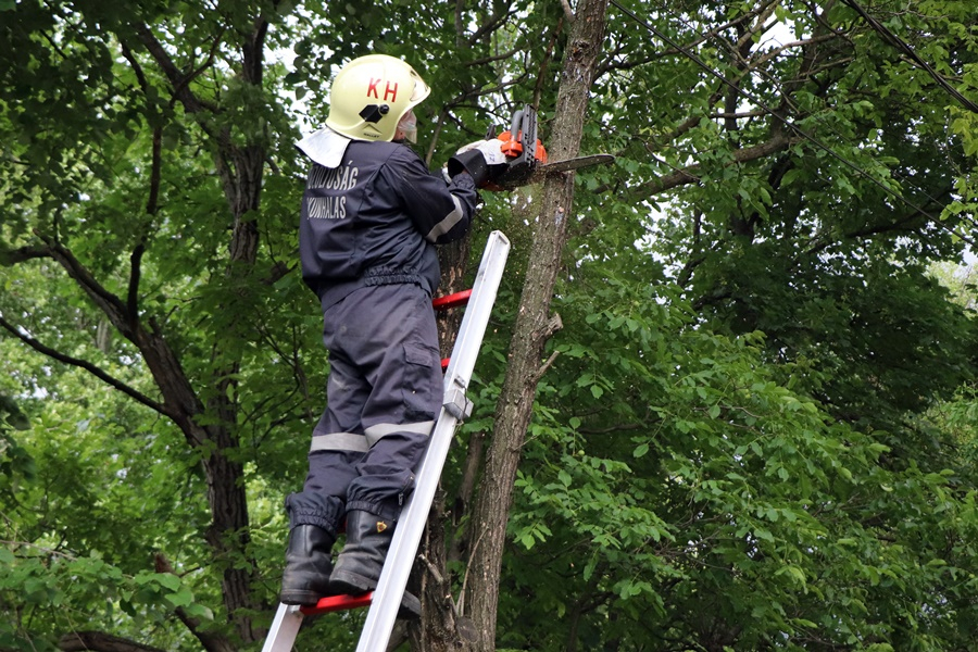 Fakidőlésekhez riasztották a halasi tűzoltókat