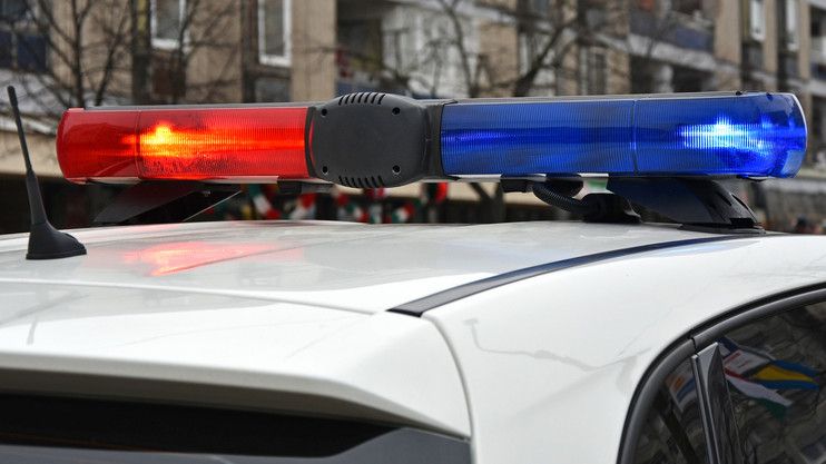 Hajnali migráns Halas határában