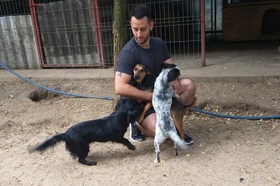 A halasi hapkidósok segítettek a helyi kutyamentőknek