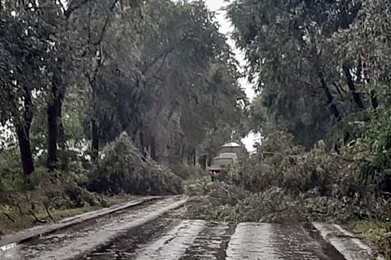 (►) Halas megúszta a vihart, de a környékünkön óriási a pusztítás