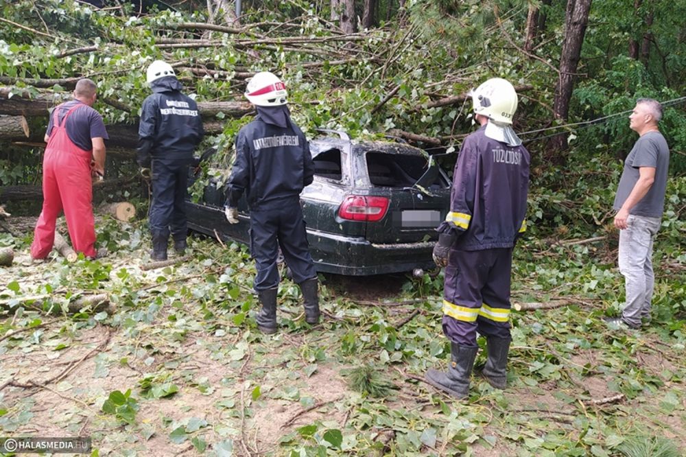Halasiak, önkéntes mentőcsapatok segítettek a vihárkárok elhárításában (galéria)