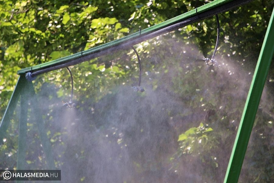 Veszélyekkel jár a hőség, célszerű betartani az egészségvédelmi ajánlásokat