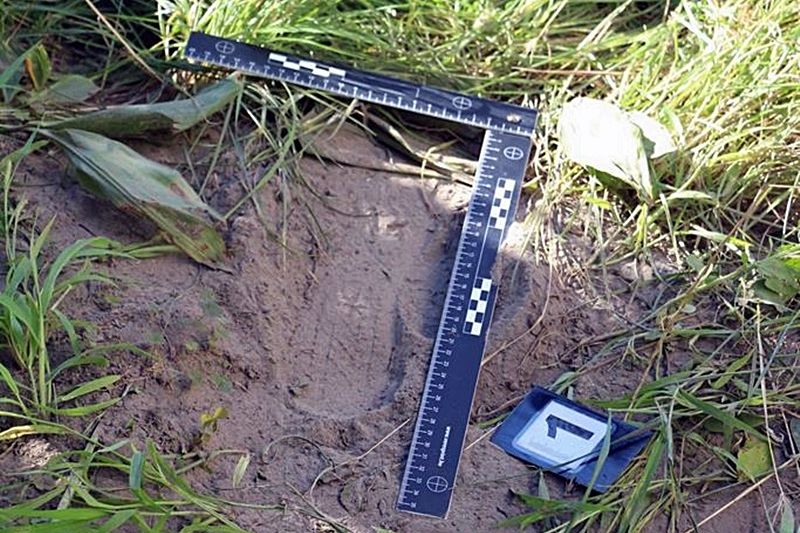 Két betörés, három lopott bickli: a gyanúsított őrizetben