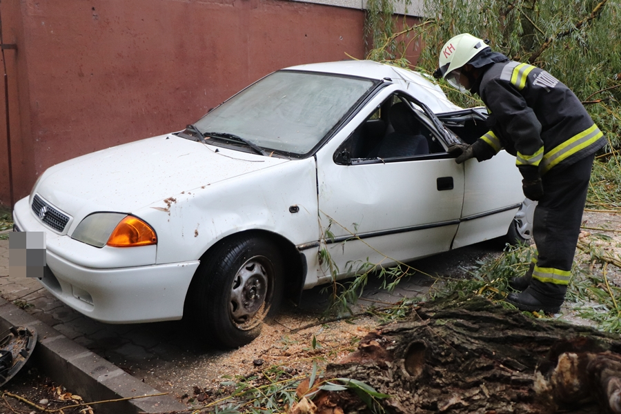 Összetört autók, letört ágak, kidőlt fák: a vihar Halason is pusztított (galéria)