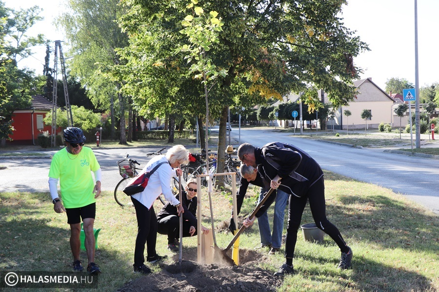 Fát ültettek Szabadka tiszteletére a halasi bringabarátok (galéria)