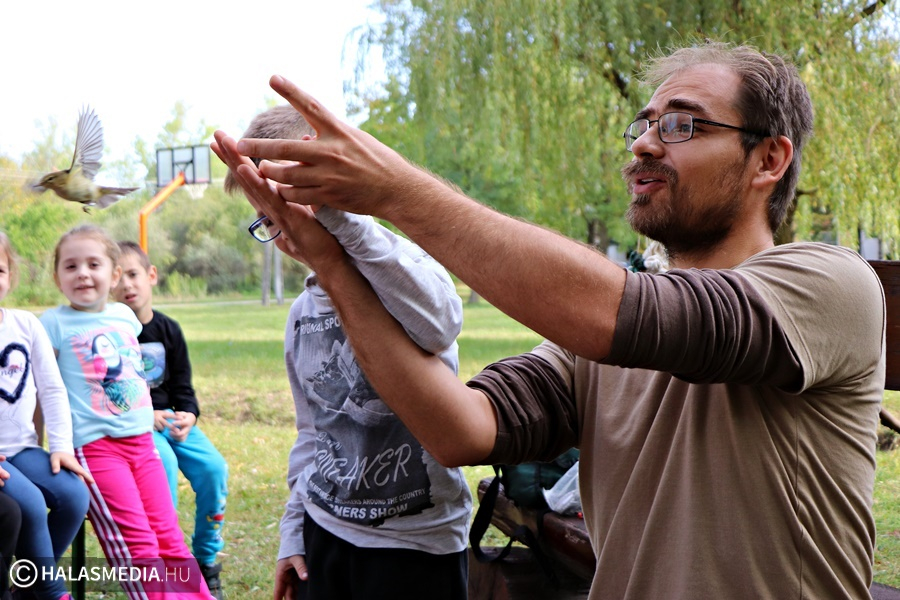 Hüllők, madarak testközelből: játékos foglalkozások ovisoknak (galéria)