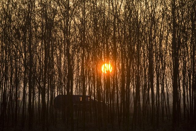 Tanyagondnoki szolgálat lesz