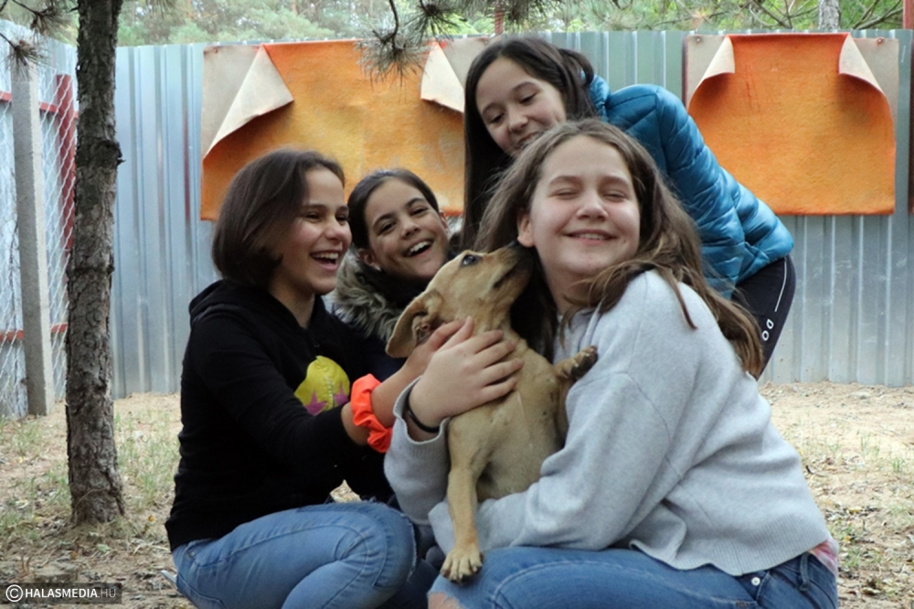 Micsoda osztály: négyszáz kilónyi adomány a Mancs-alapítványnak (galéria)