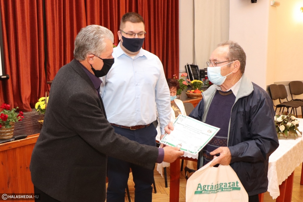 Idén is díjazták a legszebb konyhakerteket (galéria)