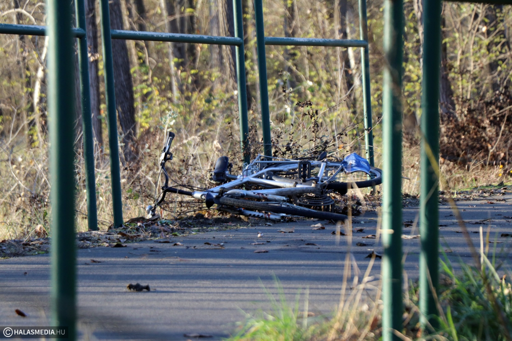 Meghalt egy halasi kerékpáros Pirtó közelében (galéria)