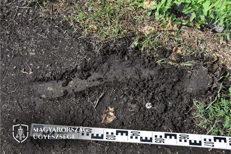 Mint az útonállók, úgy raboltak a halasi férfiak