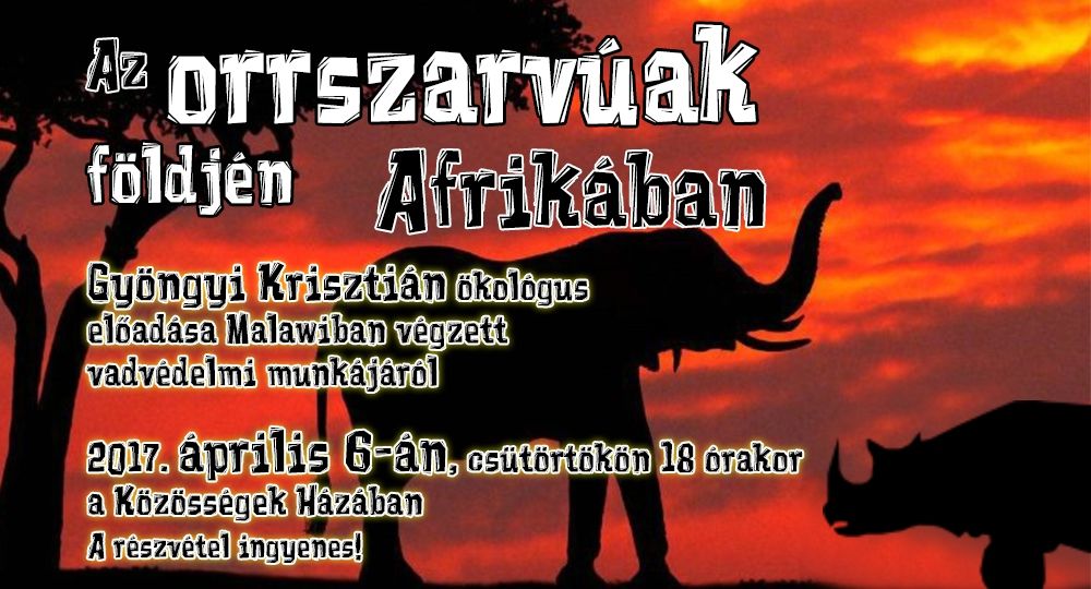 Az orrszarvúak földjén Afrikában