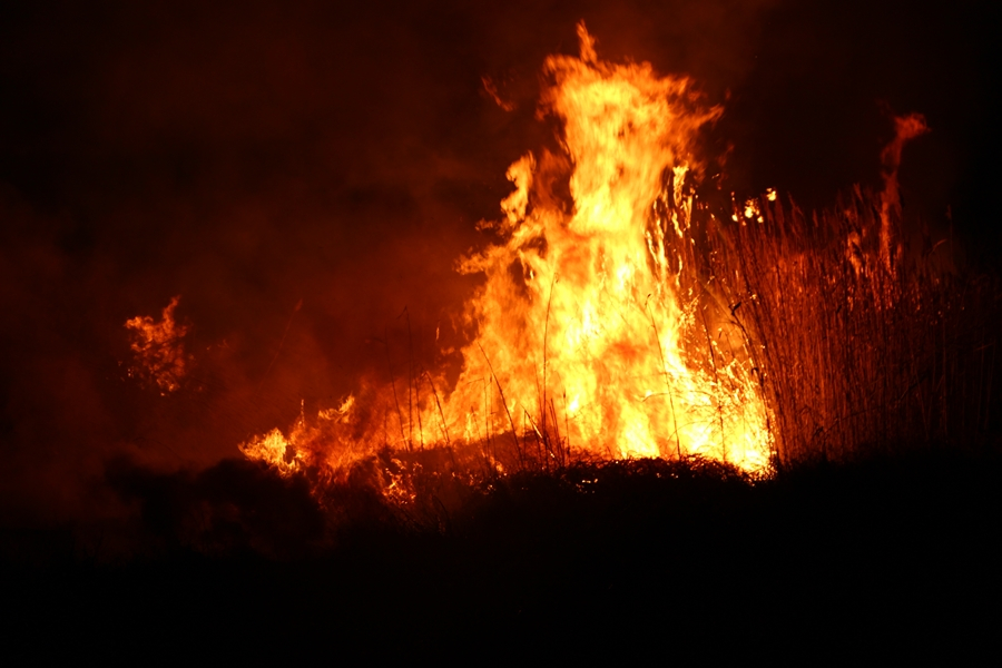 Idén már 234 szabadtéri tűz volt a megyében