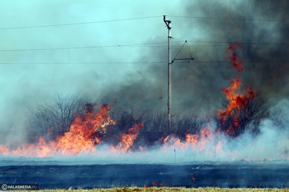 Több kilométeren égett a vasúti töltés (galéria)
