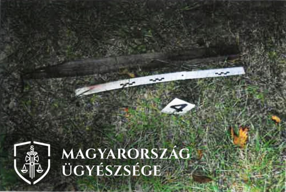 Orvhorgász támadt a halőrökre Sóstón