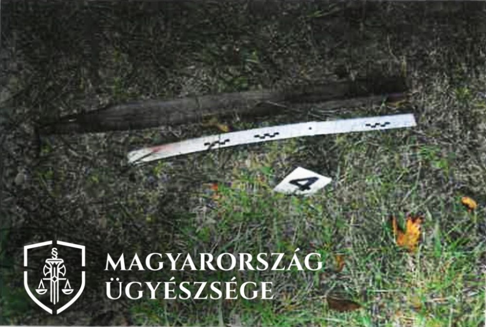 Felfüggesztett börtön a halőrökre támadó halasi orvhorgásznak