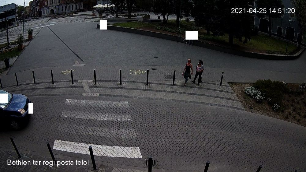 Virágtolvajok garázdálkodnak a városban