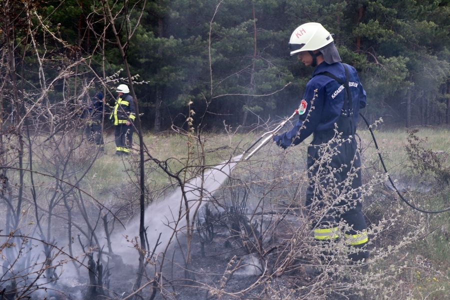 Kigyulladt a bozót a zsanai út közelében