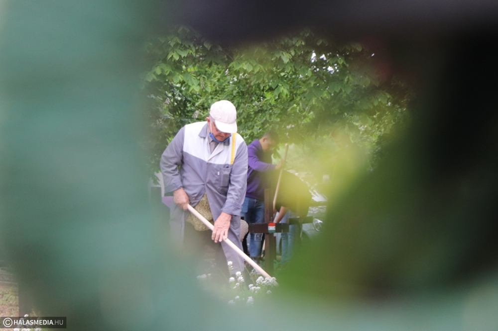 Új kerítés és keresztek a II. világháborús hősök parcellájában (galéria)