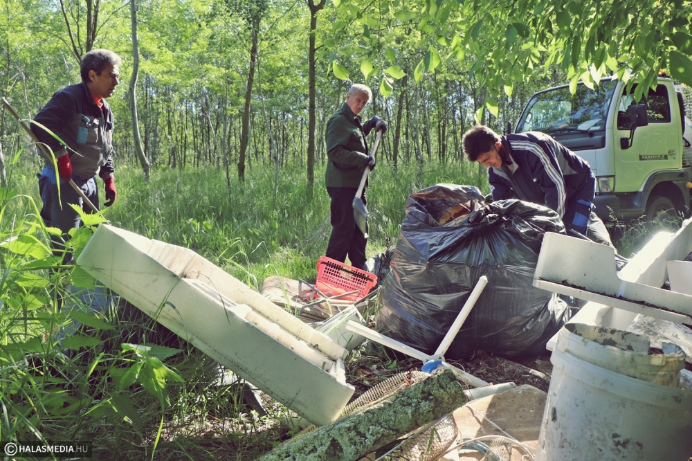 Nyolcvan köbméternyi szemetet gyűjtenek össze a külterületről (galéria)