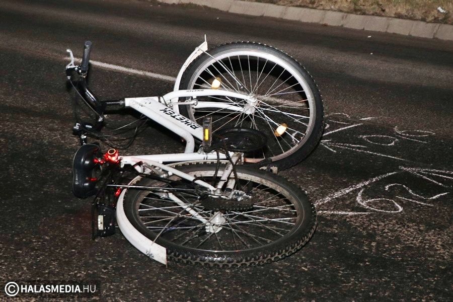 Börtönbüntetést indítványoz az ügyészség Lulu gázolójának