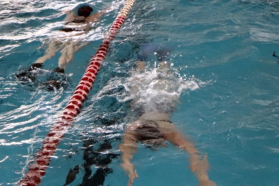 14 halasi úszóarany Szentesről