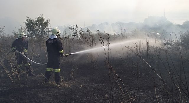 A halasi tűzoltókat is riasztották Soltra