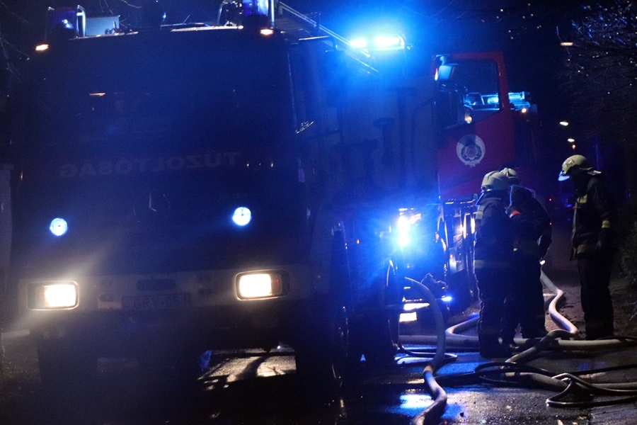 Villámcsapás miatt égett a fenyőerdő aljnövényzete az Olajosok útja mellett