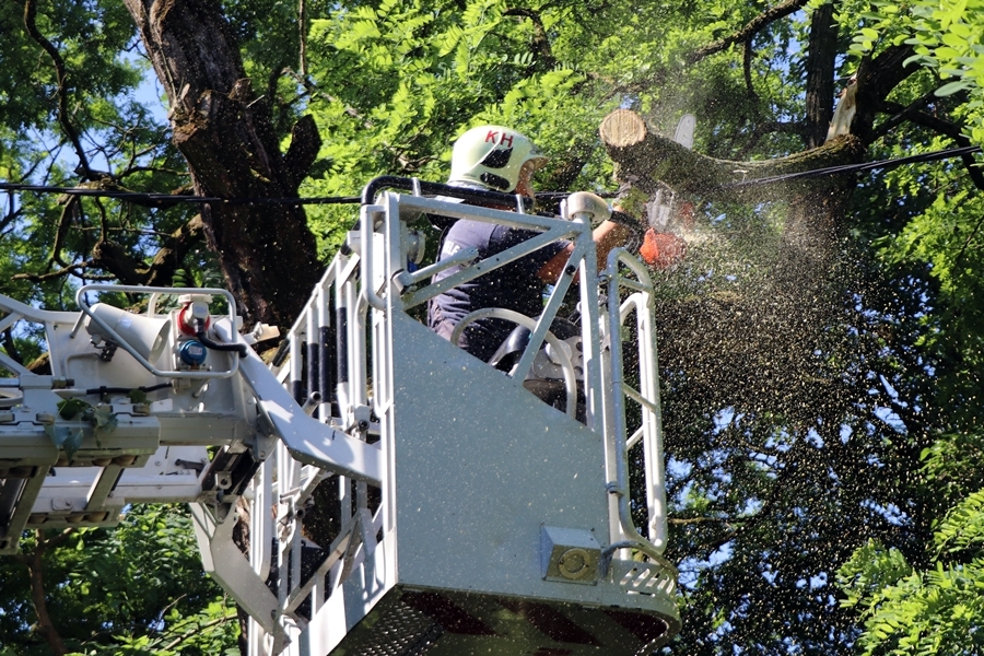 Viharkárok: kilenc helyszínen dolgoztak a halas tűzoltók (galéria)