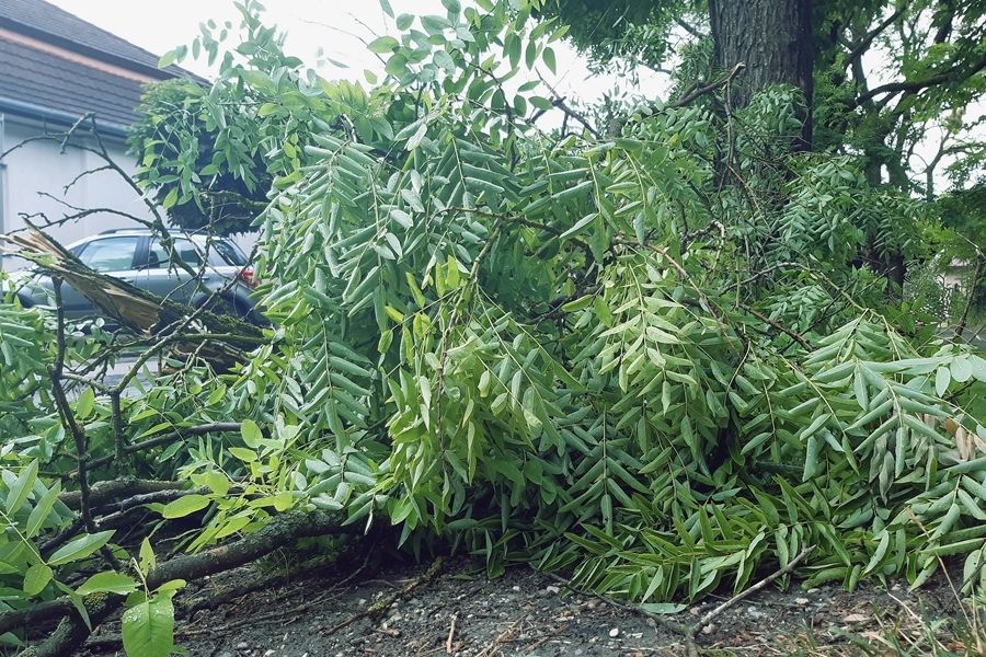 Viharkárok: munkában a halasi tűzoltók