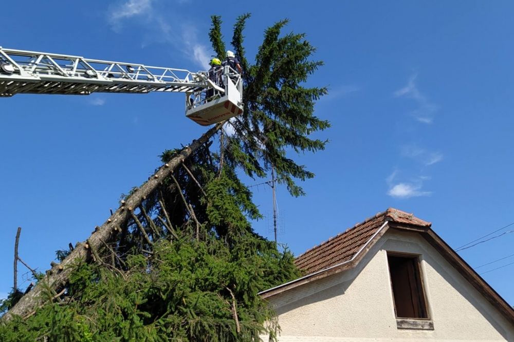 Mozgalmas hétfőjük volt a halasi tűzoltóknak