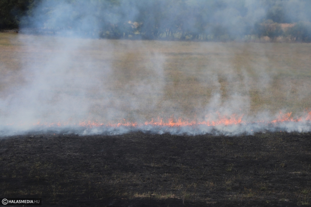 Halasi tűzolókat is riasztották a kiskőrösi avartűzhöz