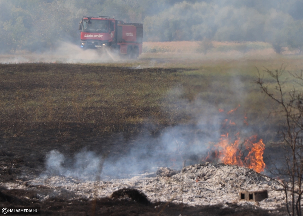 Tűzgyújtási tilalom lesz  Bács-Kiskunban