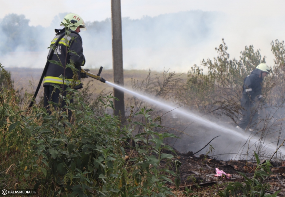 Tűzgyújtási tilalom van Bács-Kiskunban