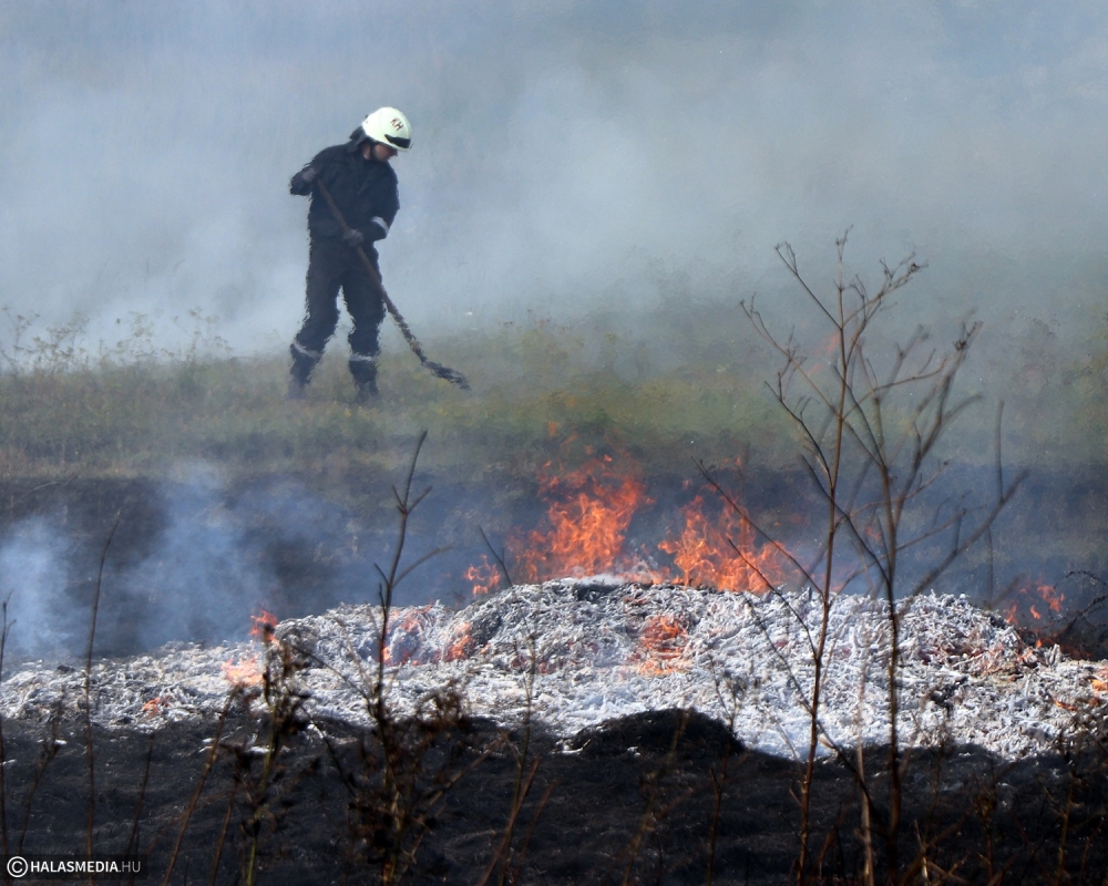 Nem véletlenül van tűzgyújtási tilalom