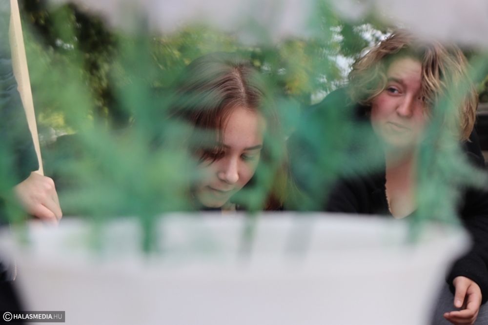 Dékánis diákok takarítottak a hősök emlékhelyén (galéria)