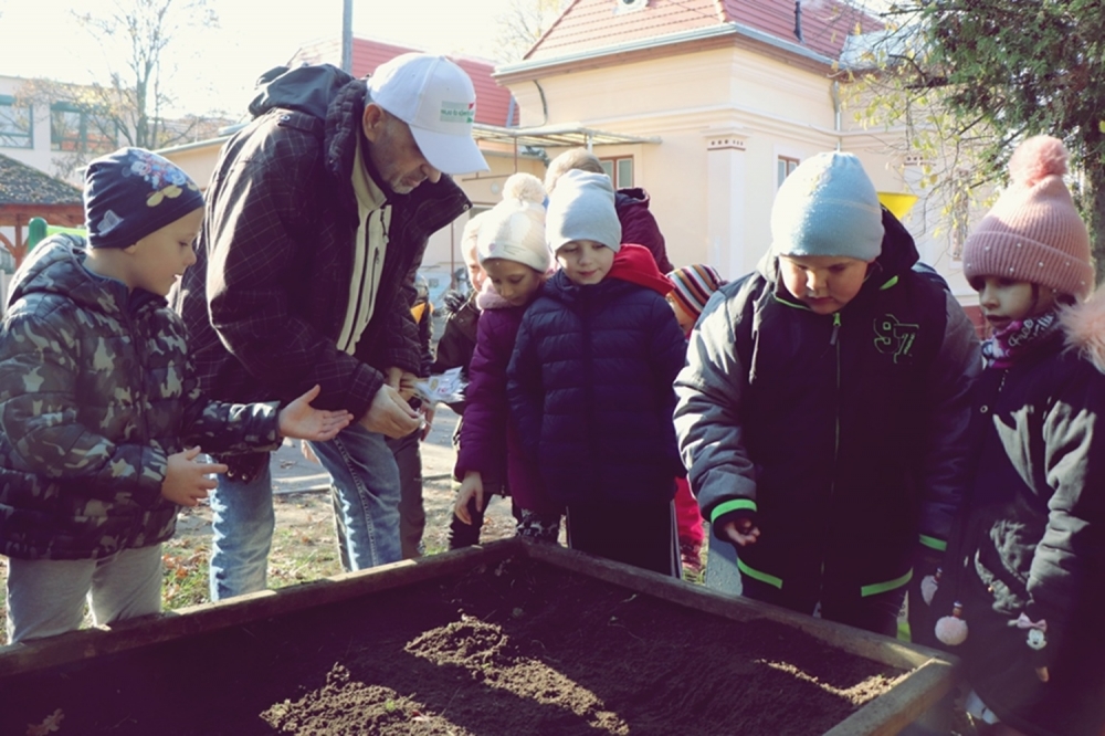Elvetették az őszi búzát az ovisok (galéria)