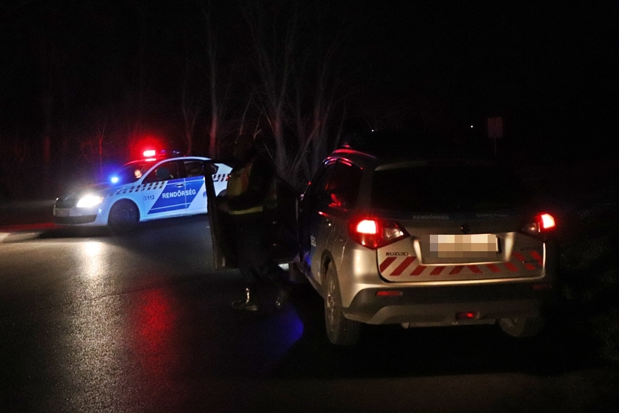 Fának rohant és kigyulladt egy autó Jánoshalmánál, a sofőr bennégett a járműben