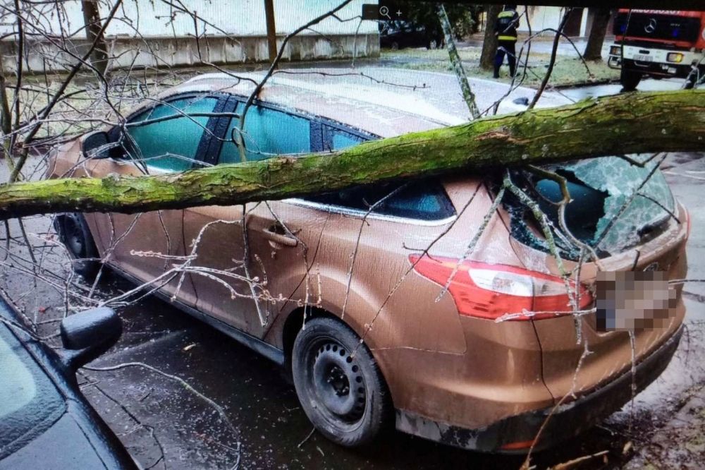 Az időjárás adott munkát a halasi tűzoltóknak