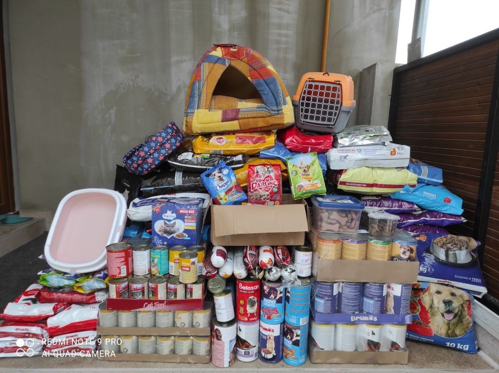 BolDogság: több mint fél tonnányi adomány gyűlt össze